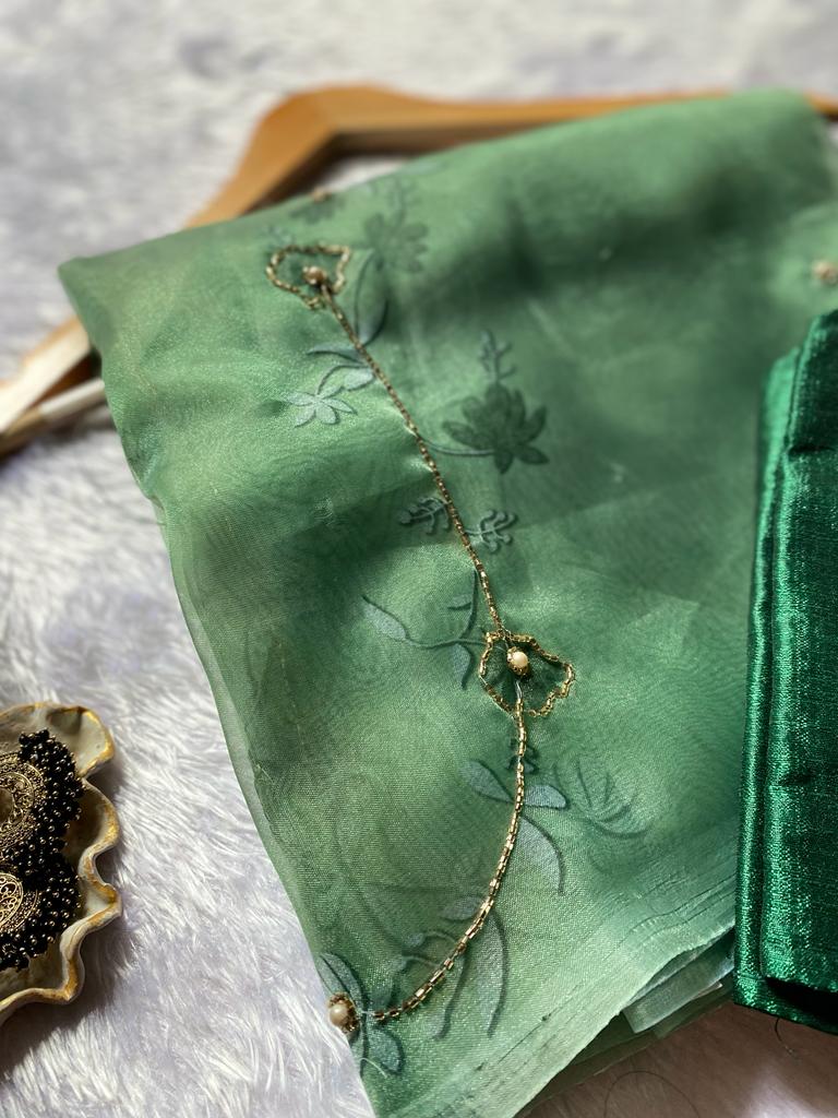 VK 4161 Pure Organza Designer Non Catalog Saree